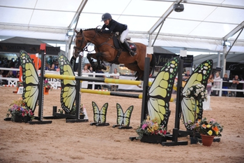 Alexanders Horseboxes Scope Festival 2017 - National Round Up